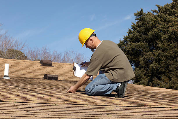 Best Roof Moss and Algae Removal  in Vandergrift, PA